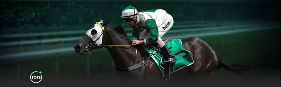 热刺与利物,浦争锋,瑞天空独家,bet365,bet365体育,bet365官网,bet365网址