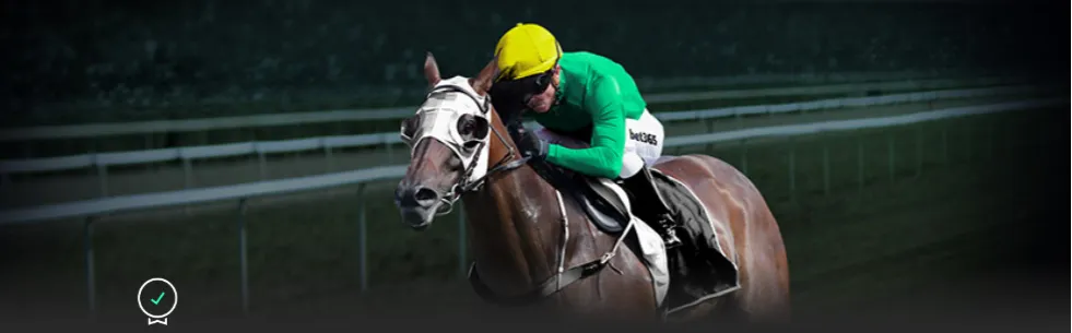 官方,日本,国家队,bet365,bet365体育,bet365官网,bet365网址